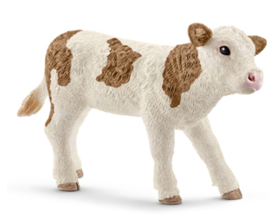 BRN/WHT Simmental Calf