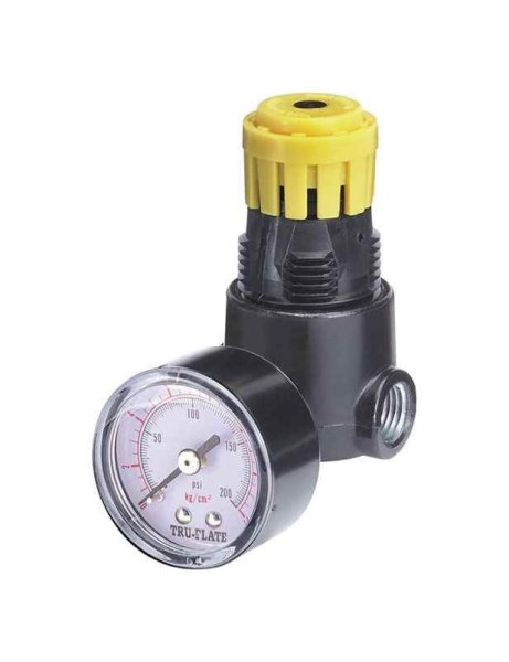 Tru-Flate 1/4 In. NPT 250 PSI Mini Pressure Regulator