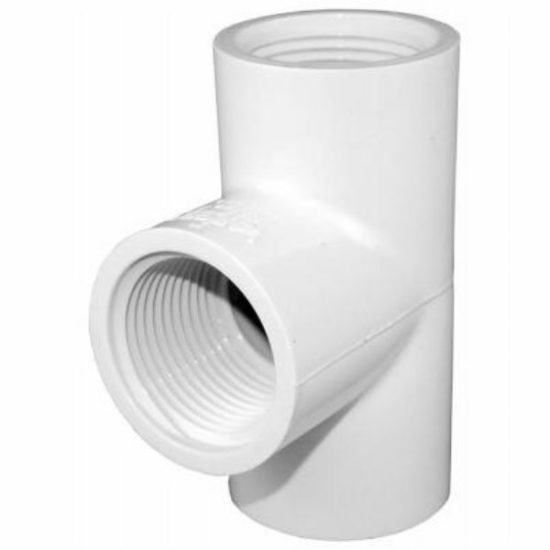Charlotte Pipe 1 In. FIP Schedule 40 PVC Tee