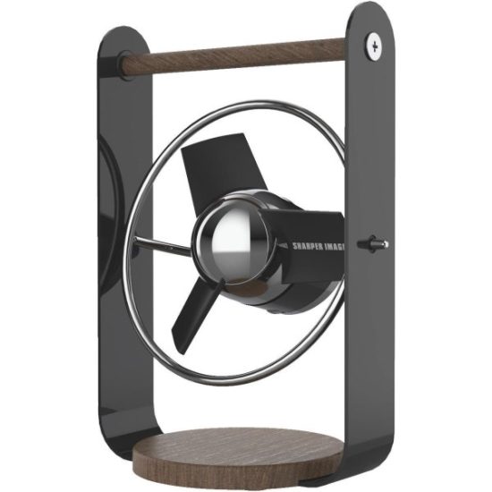 Vornado Sharper Image Small 2-Speed Black USB Desk Fan