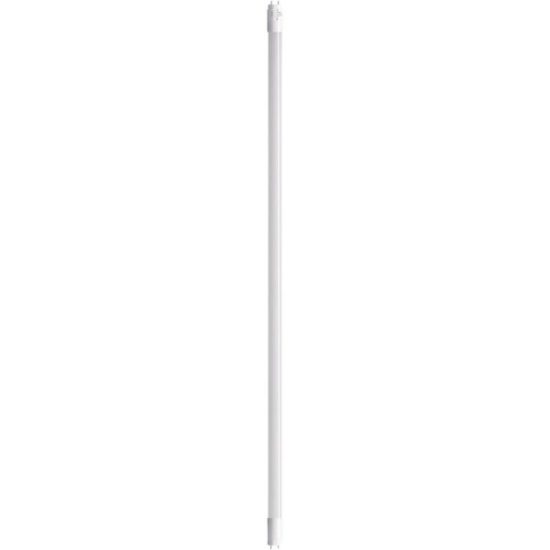 Satco 32W Equivalent 48 In. 4000K/5000K/6500K Medium Bi-Pin Ballast Bypass LED Tube Light Bulb (2-Pack)