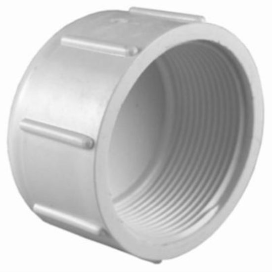 Charlotte Pipe 2 In. FIP Schedule 40 Threaded PVC Cap