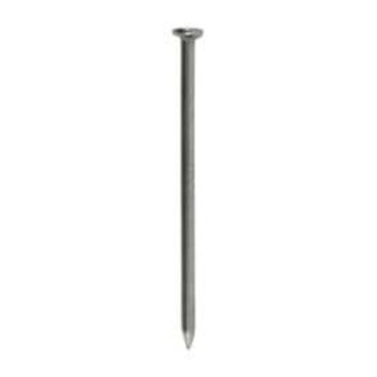 Do it 12d x 3-1/4 In. 9 ga Bright Common Nails (305 Ct., 5 Lb.)