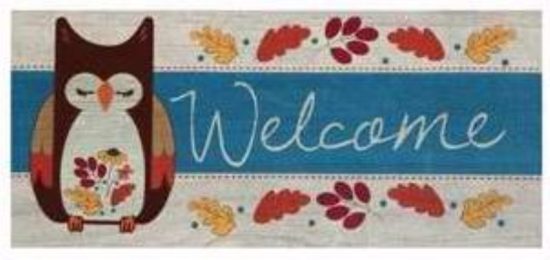 Evergreen Enterprises 65105 Switch Mat - Autumn Owl Welcome