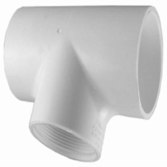 Charlotte Pipe 1/2 In. Solvent Weld x FIP Schedule 40 PVC Tee