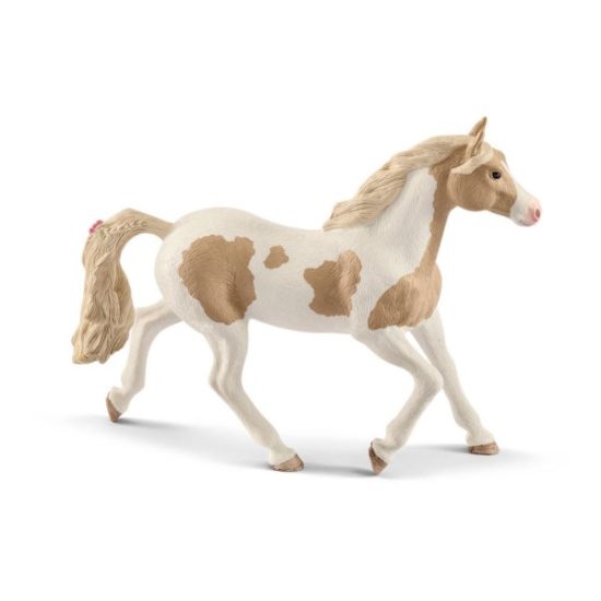 Paint horse mare