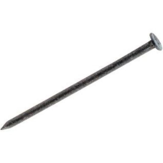 Do it 16d x 3-1/2 In. 10 ga Hot Galvanized Box Nails (71 Ct., 1 Lb.)