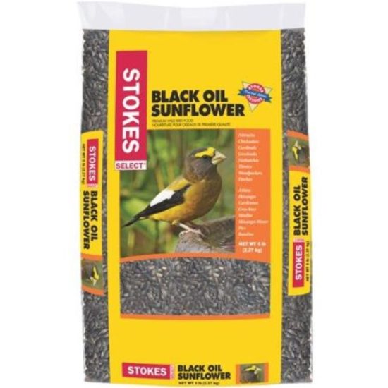 Best Garden 5 Lb. Black Oil Sunflower Wild Bird Seed