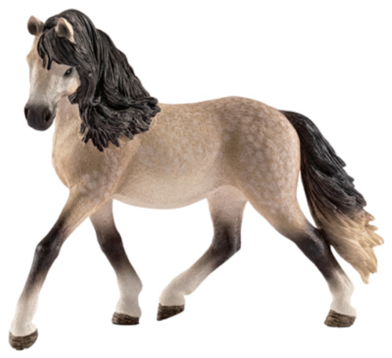 GRY Andalusian Mare