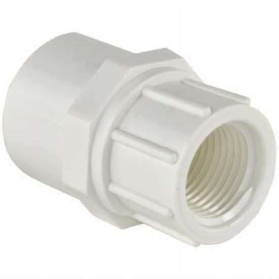 Charlotte Pipe 3/4 In. x 1/2 In. Schedule 40 Female PVC Adapter
