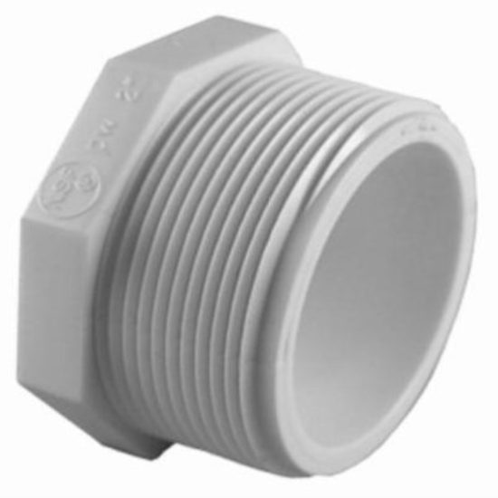 Charlotte Pipe Threaded Schedule 40 DWV 1-1/4 in. MIP PVC Plug
