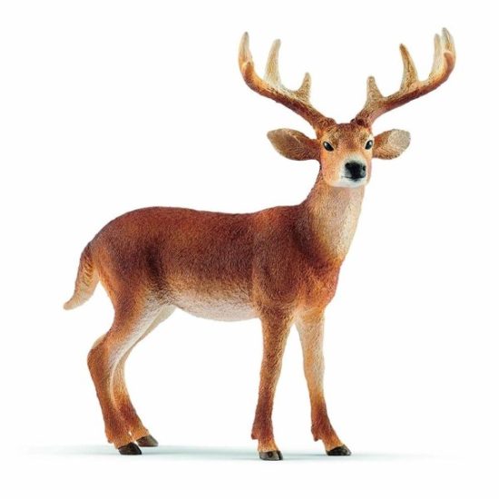 Schleich Hand - Painted Figure - White - Tailed Buck