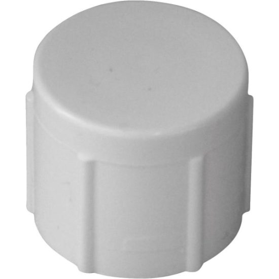 Charlotte Pipe 4 In. FIP Schedule 40 Threaded PVC Cap