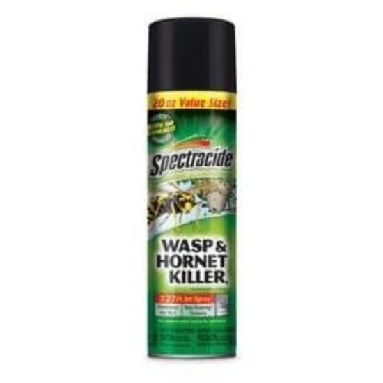 Spectracide 20 Oz. Liquid Aerosol Spray Wasp & Hornet Killer