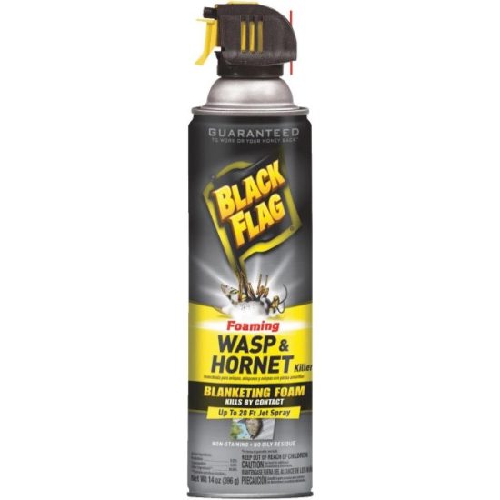Black Flag 14 Oz. Foaming Aerosol Spray Wasp & Hornet Killer