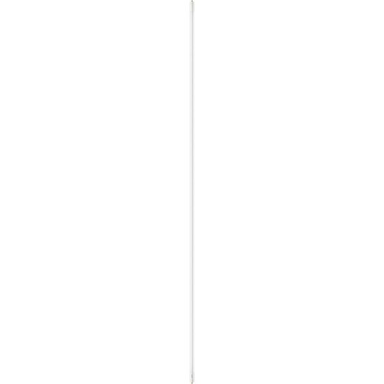 Philips Ballast Bypass 96 In. Cool White T8 Single Pin LED Tube Light Bulb (2-Pack)