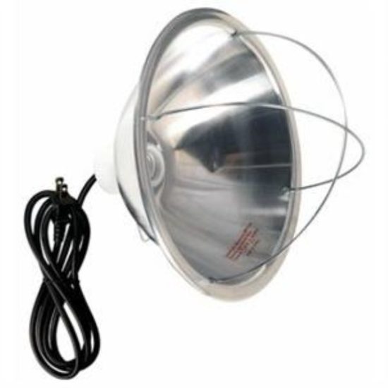 Brooder Lamp, 10-In. Reflector, 120-Volt, 300-Watts