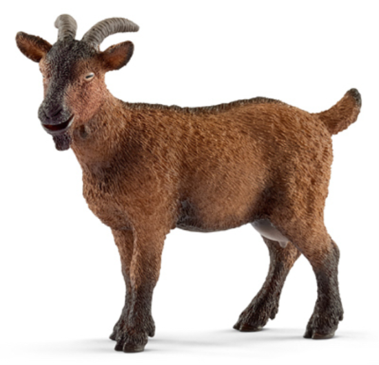 BRN Goat
