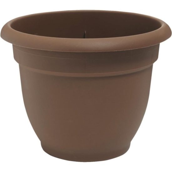 Bloem Ariana 10 In. Plastic Self Watering Chocolate Planter