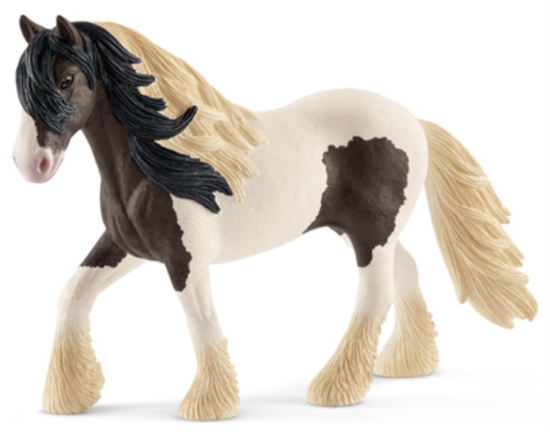 BRN/WHT Tinker Stallion