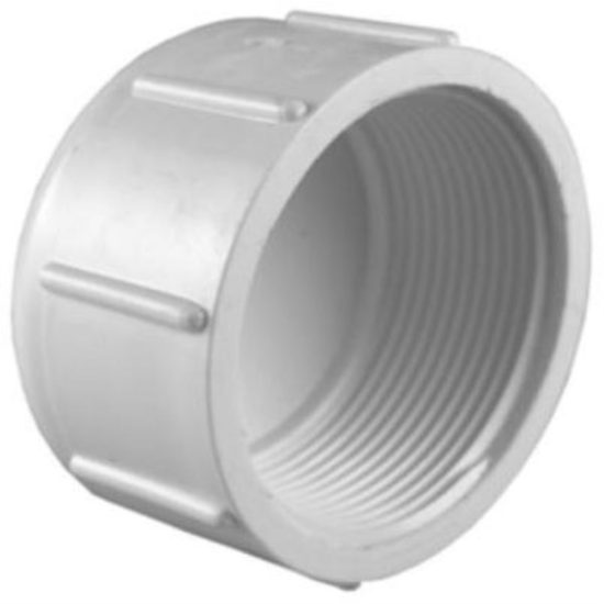 Charlotte Pipe 1 In. FIP Schedule 40 Threaded PVC Cap