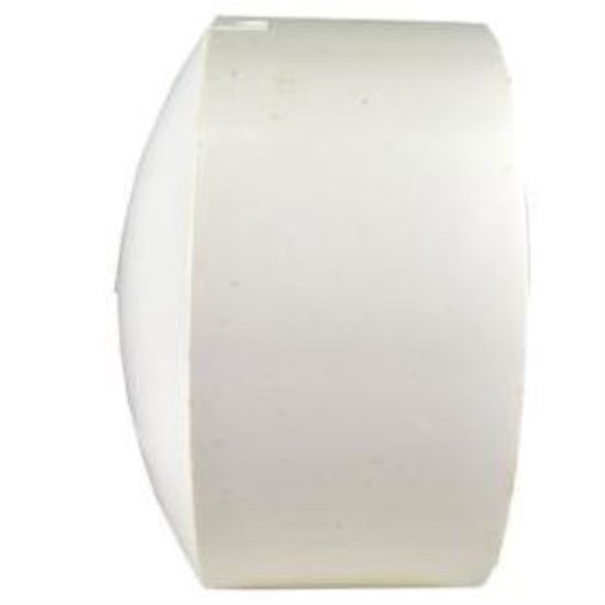 Charlotte Pipe 6 In. Schedule 40 DWV Hub Cap PVC Cap
