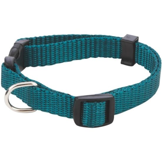 Westminster Pet Ruffin' it Adjustable 8 In. to 12 In. Nylon Dog Collar