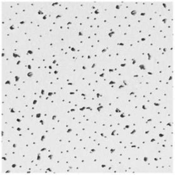 USG Radar 2 Ft. x 4 Ft. Mineral Fiber Square Edge Basic Acoustical Ceiling Panels (8-Count)