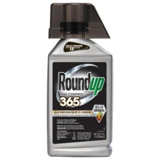 Roundup Max Control 365 1 Qt. Concentrate Vegetation Killer