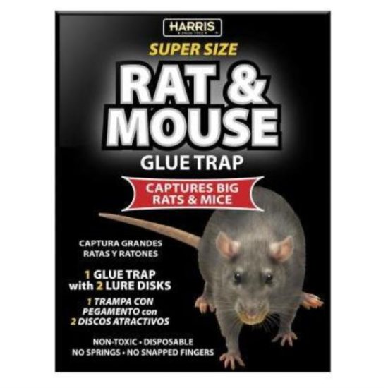 Harris Glue Rat & Mouse Trap