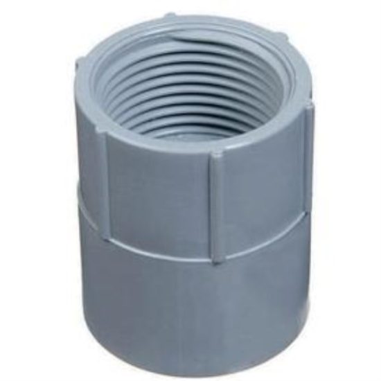 Carlon 2 In. Female Threaded & Socket PVC Conduit Female Adapter